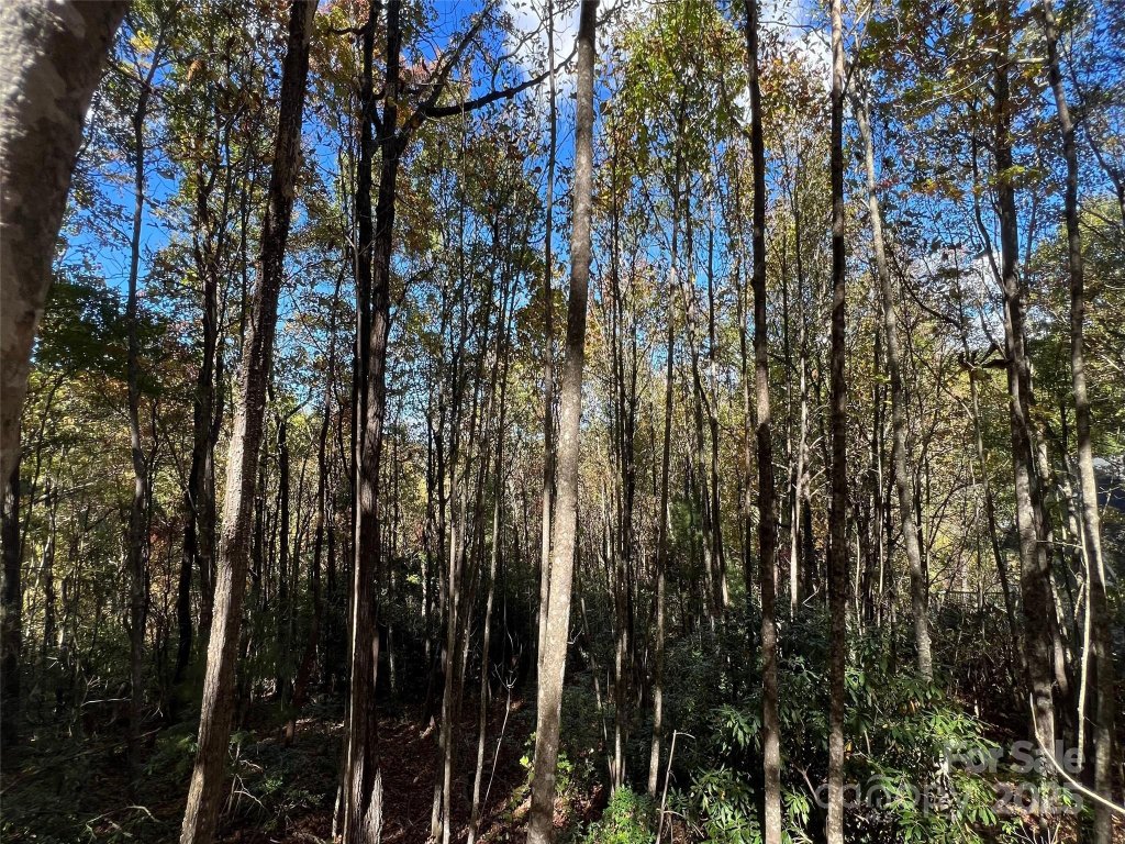 0 Wild Magnolia Way 46