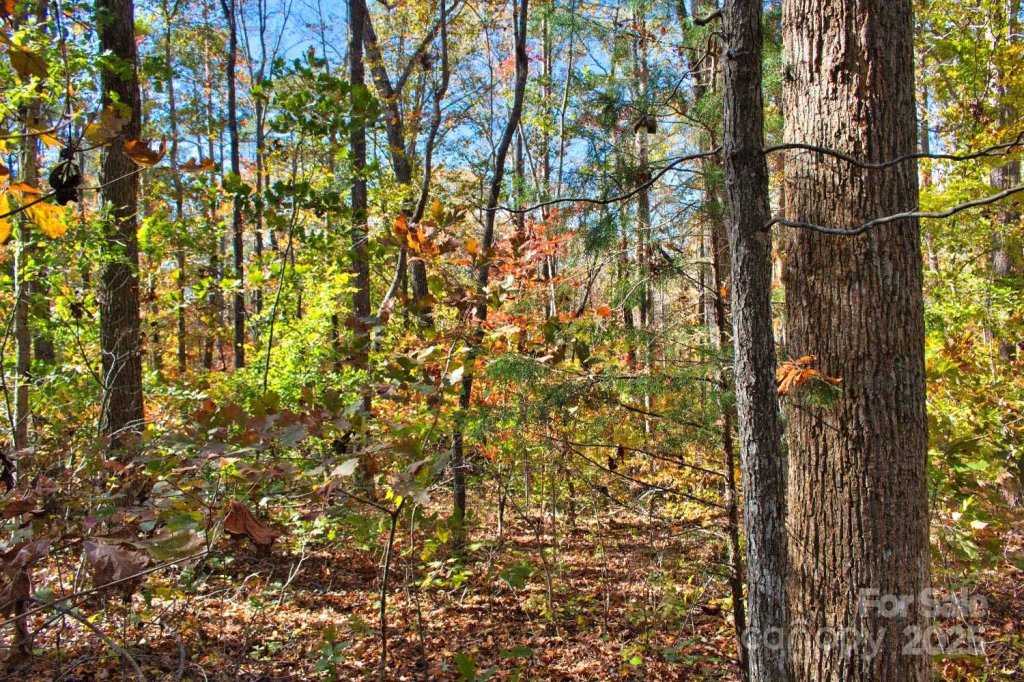 0 Bitteroot Circle 294