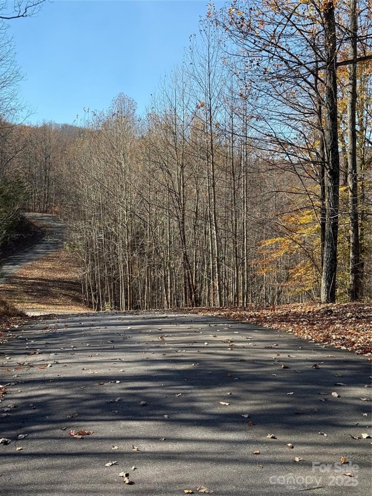 V L Lot 72 170 Black Lark Drive