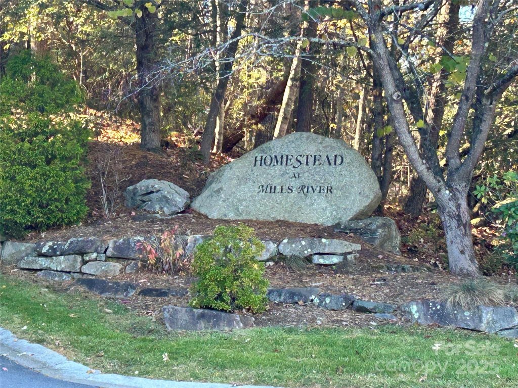 1114 Mills River Way