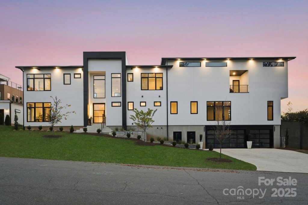 Shenandoah Park, Charlotte community