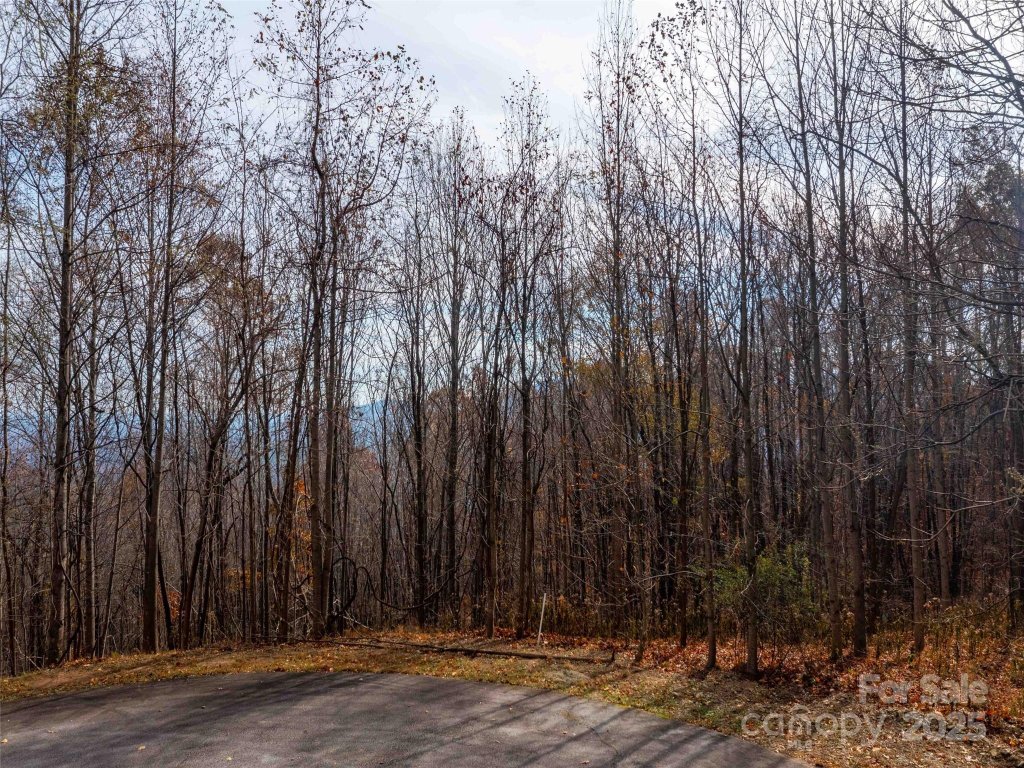 242 Nottingham Drive