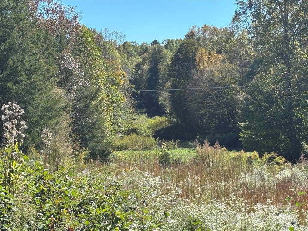 111 Sheep Path Drive
