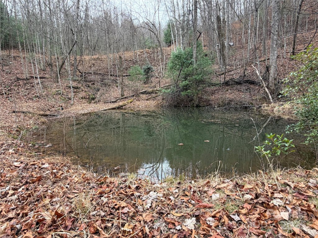 Tbd Casey Mountain Road 218