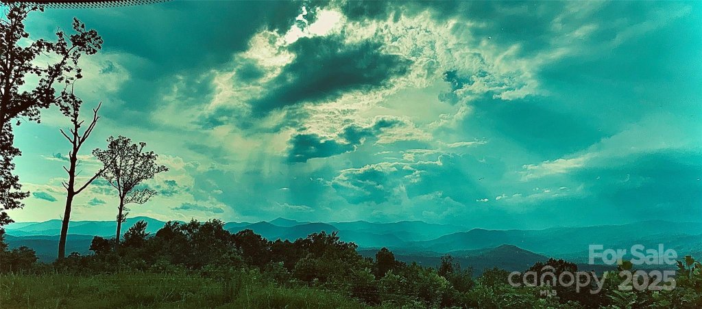 New Forest Mountain, Union Mills community