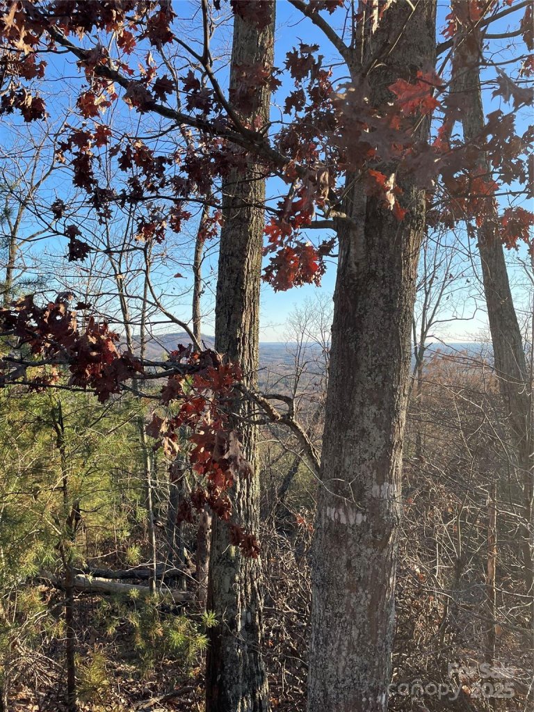 0 Brighton Drive 237