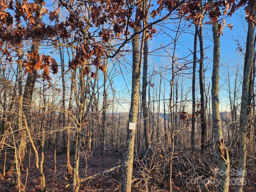 The Summit, Bostic community