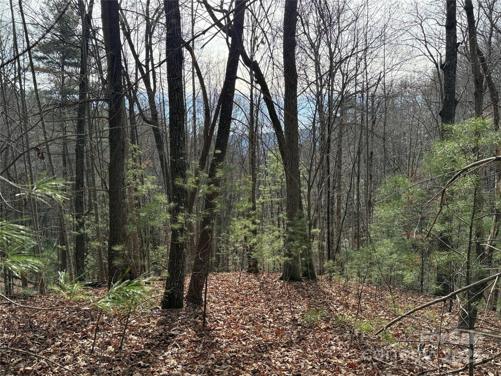 Tbd Buck Mountain Road 21