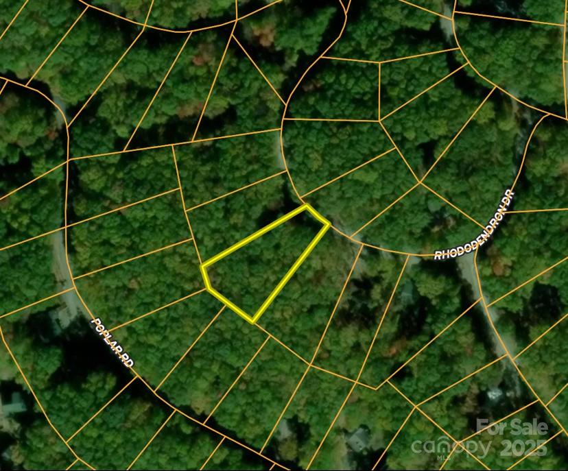 111 Rhododendron Drive