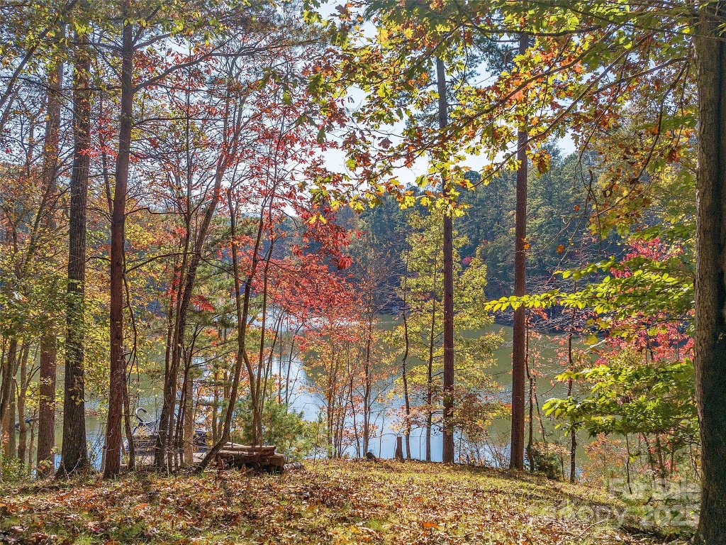 Lake Adger, Mill Spring community