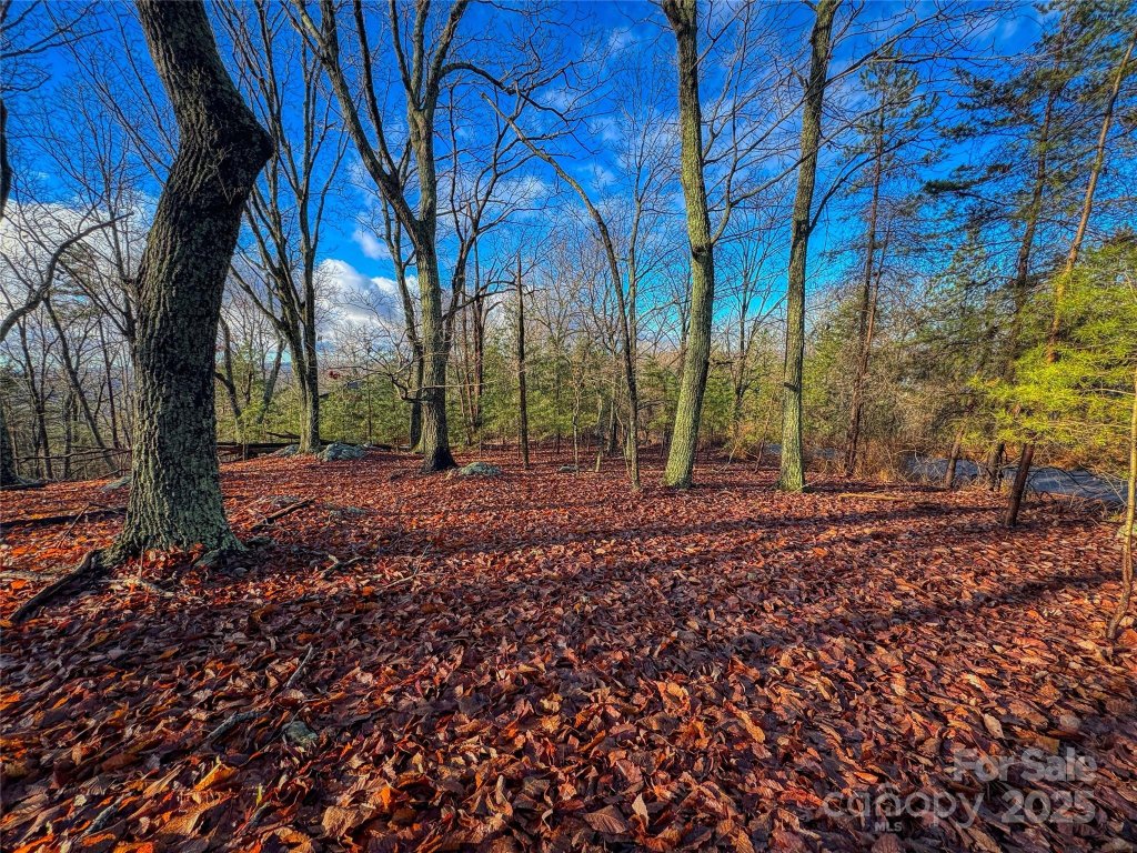 338 Sierra Trace Road