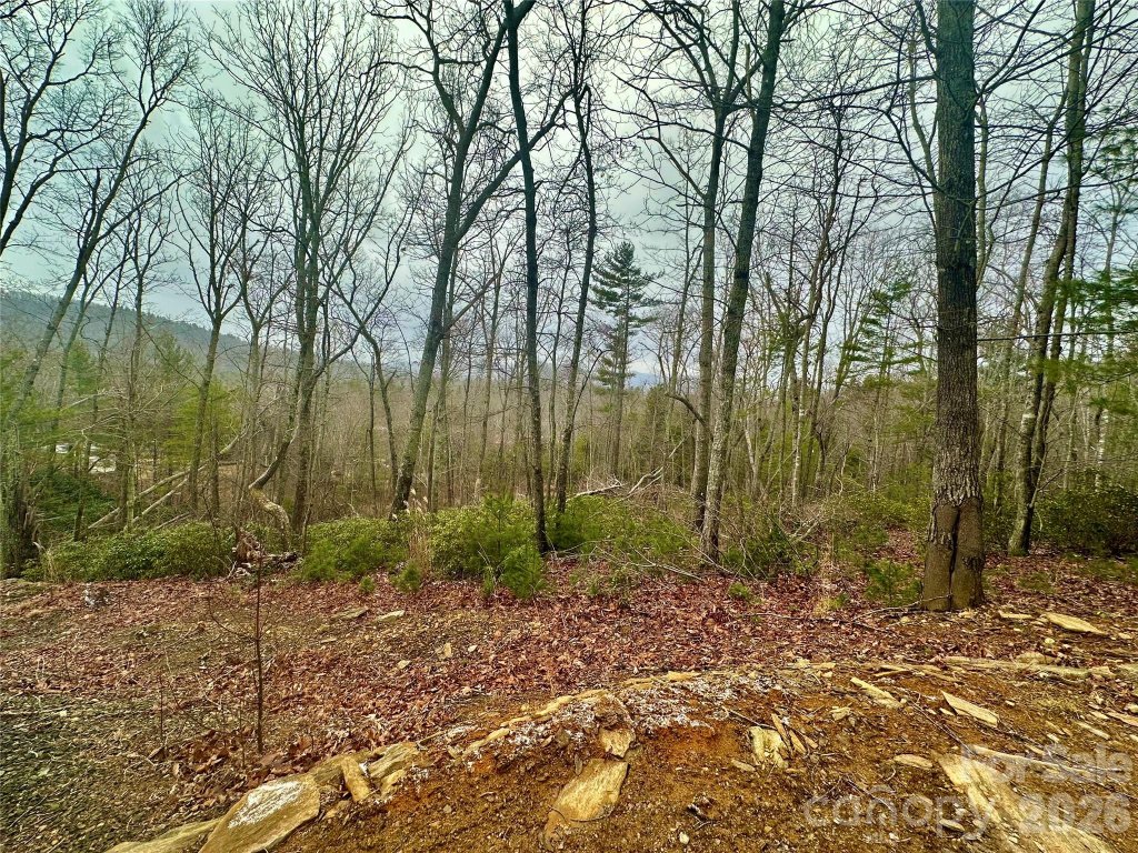 000 Orchard View Trail 11