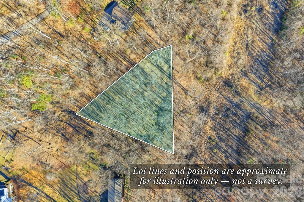 Briarwood, Webster community