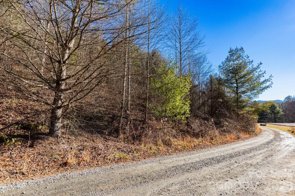 The Rosalie, Waynesville community