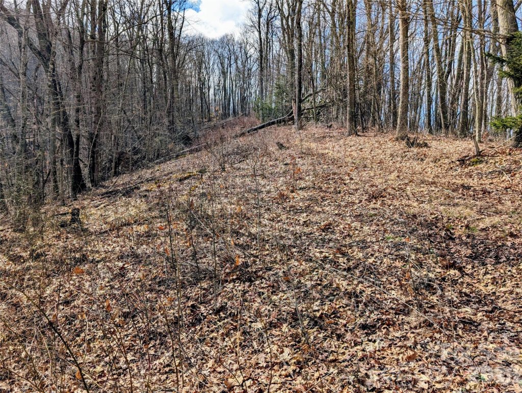 Cherry Hill Est, Waynesville community