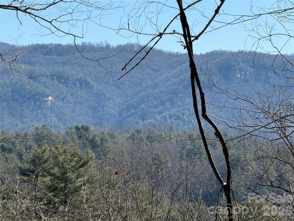 Mountain Brook, Brevard community