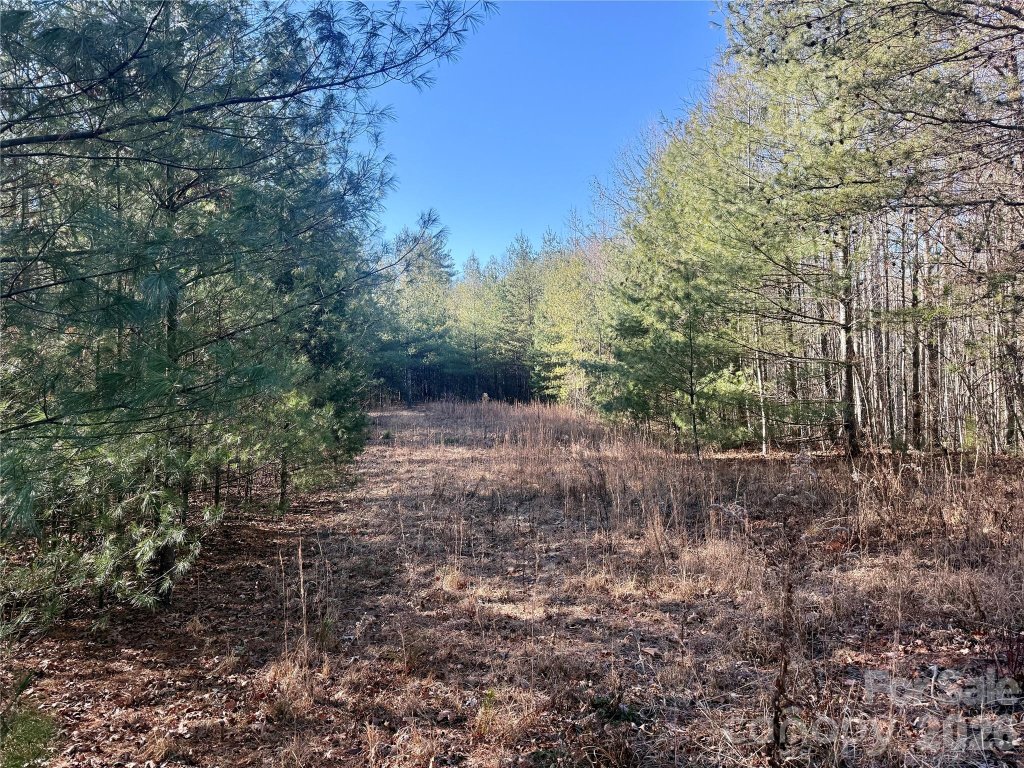 2095 Hitching Post Trail G45