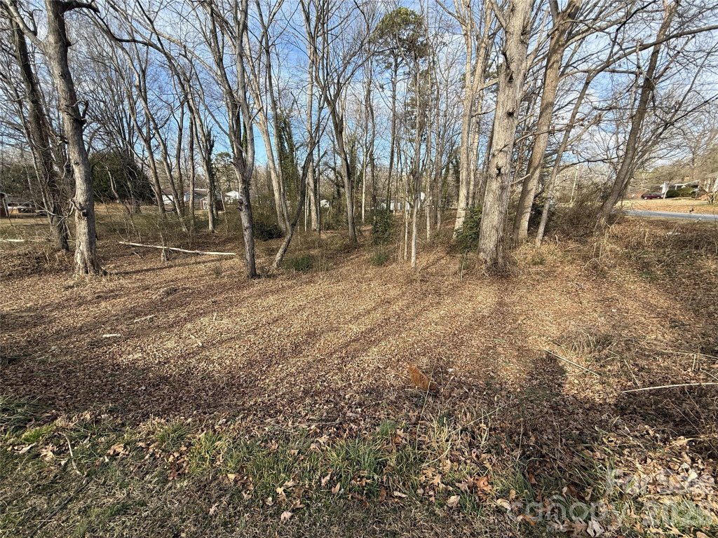 Lot 10 11 Buffalo Shoals Road