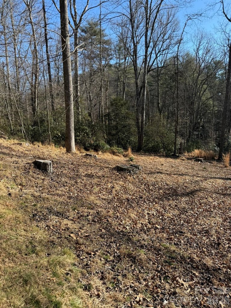 9999 Rockbrook Overlook 13
