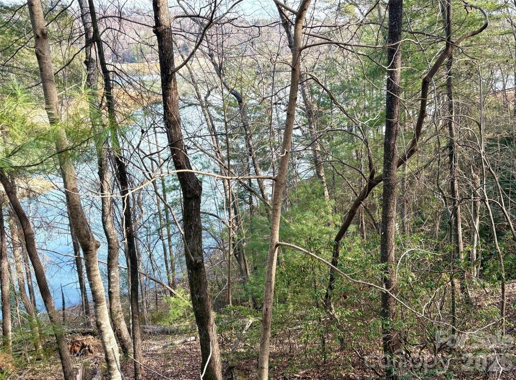 0 Falls View Trail lot 23A