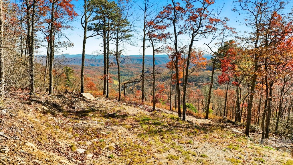 Blue Ridge Mountain Club, Boone community