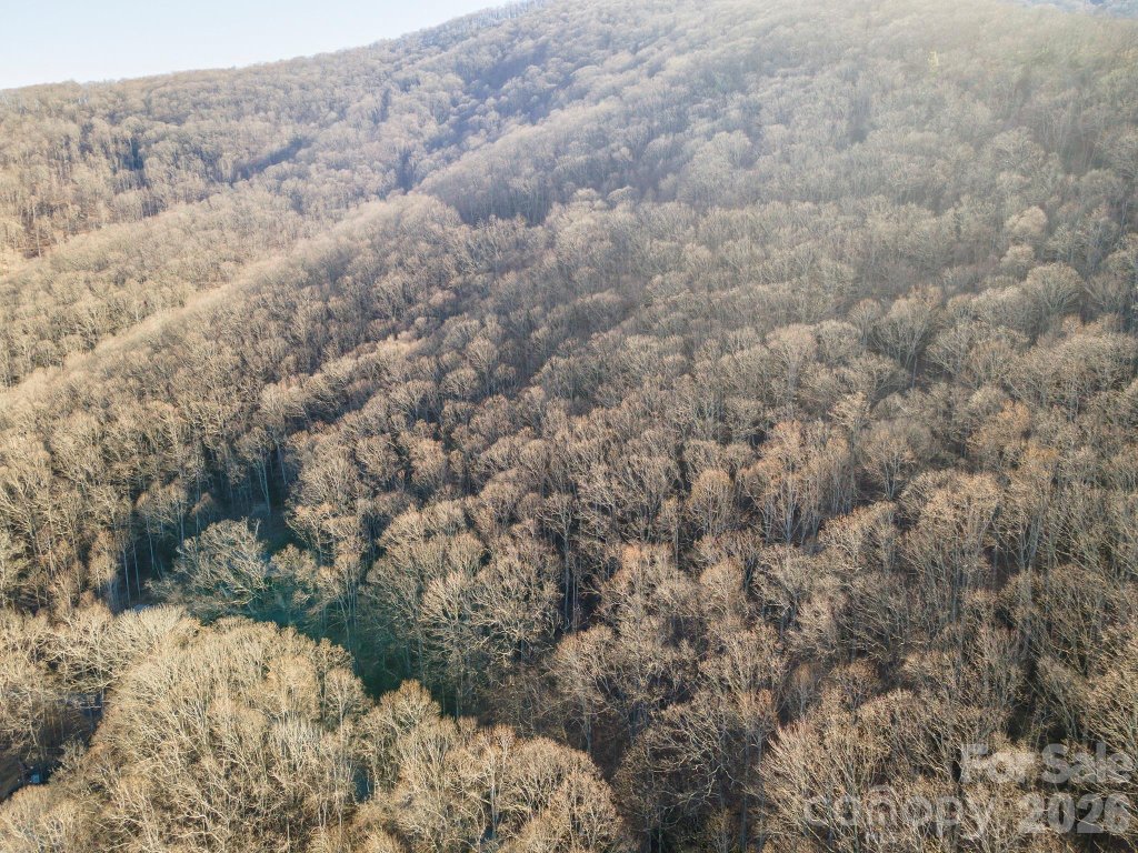 00 Wildflower Cove Road 18