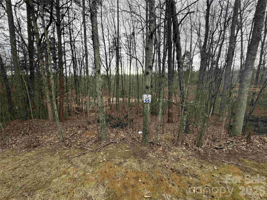 348 Broken Arrow Drive