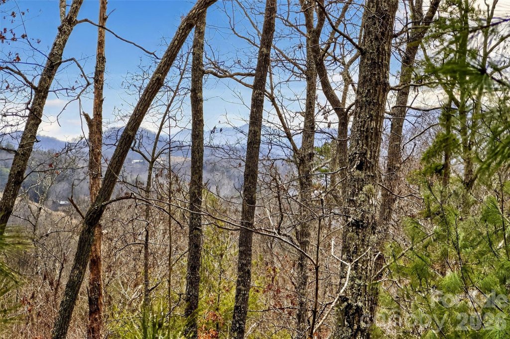 149 Turkey Trot Trail 17