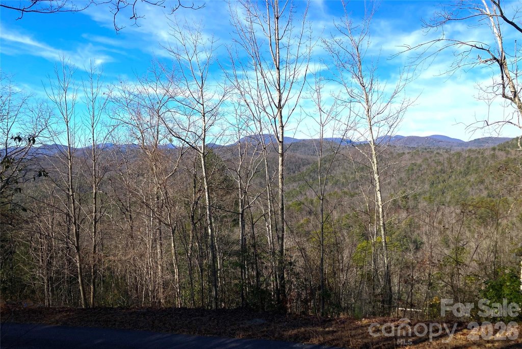 Tbd Ruffed Grouse Road L045