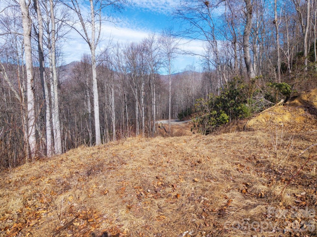 000 Bee Tree Road