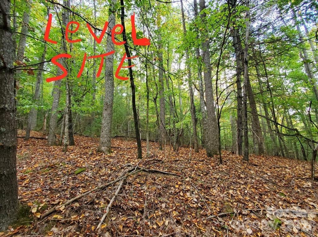 00 Hickory Wood Trail