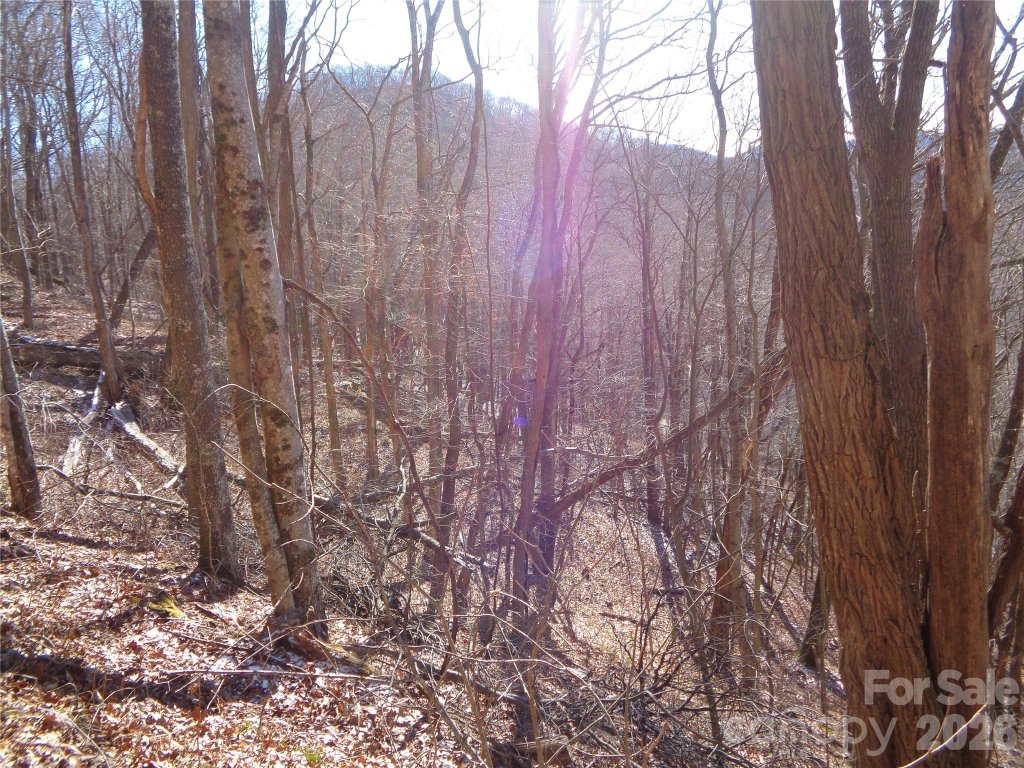 00 Listening Cove 41