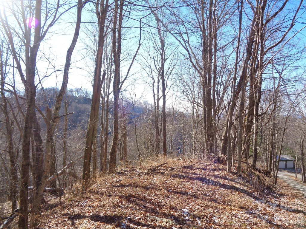 Sacred Cove Estates, Clyde community