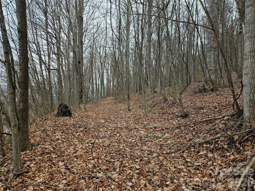 000 Slippery Rock Lane