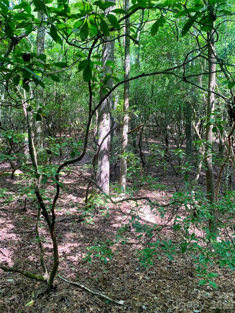 6 Double Creek Road