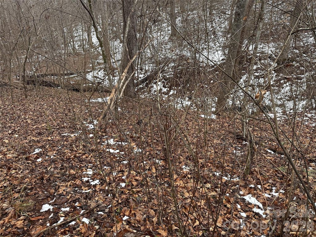 Magna Vista, Lincolnton community