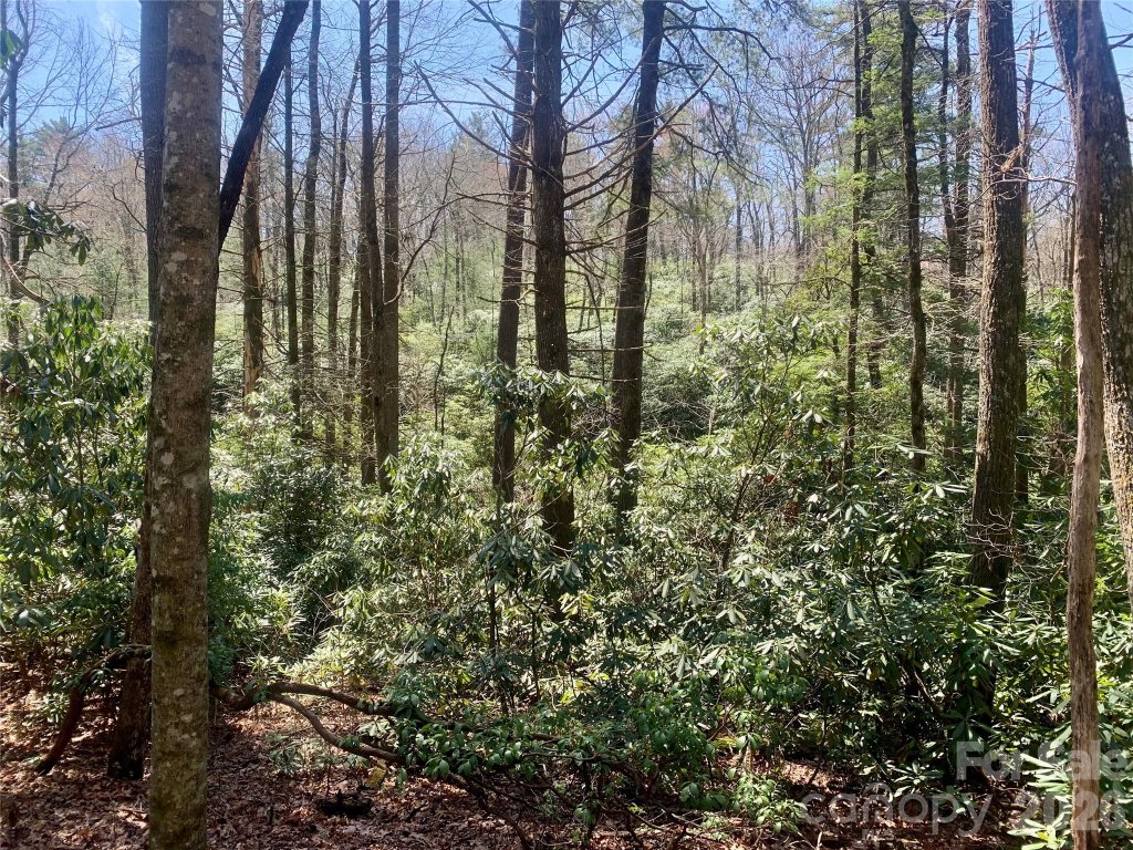 Lot 20a Indian Lake Road 20A