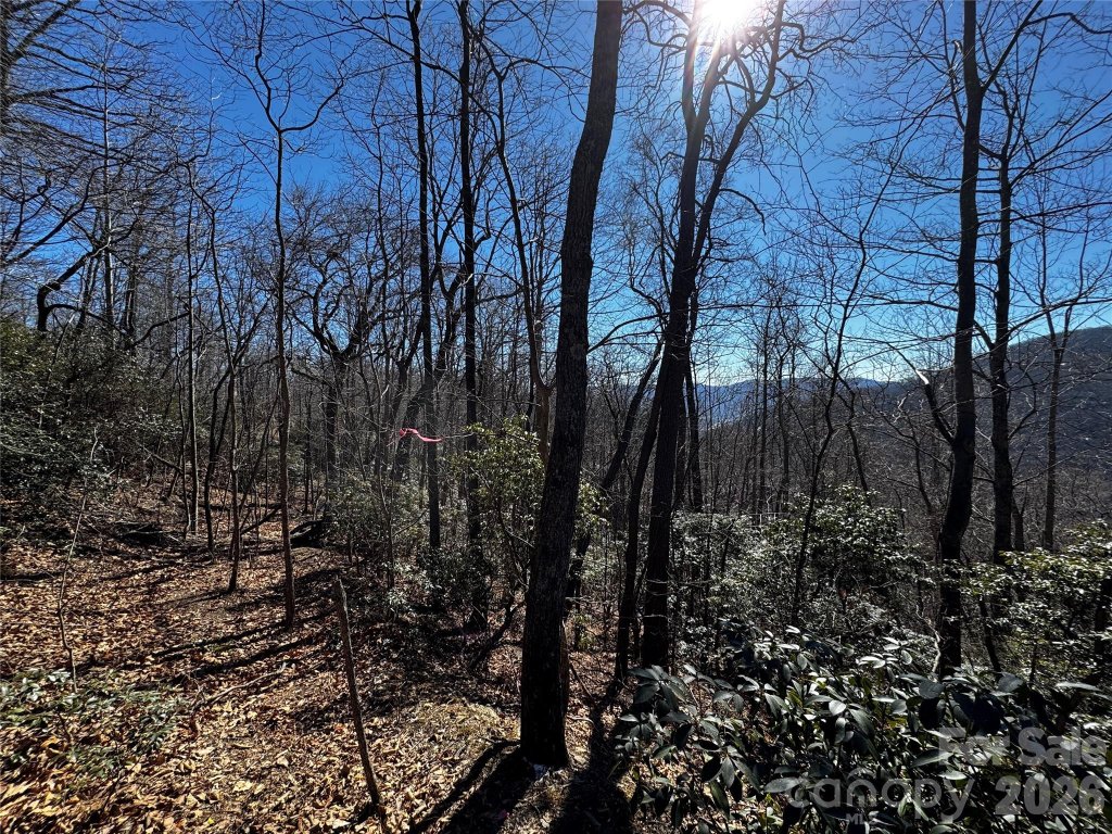 Tbd Acacia Court 936