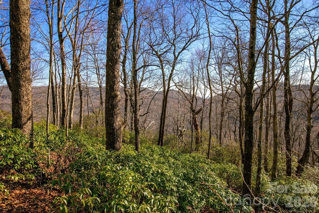 Joshua Summit, Rosman community