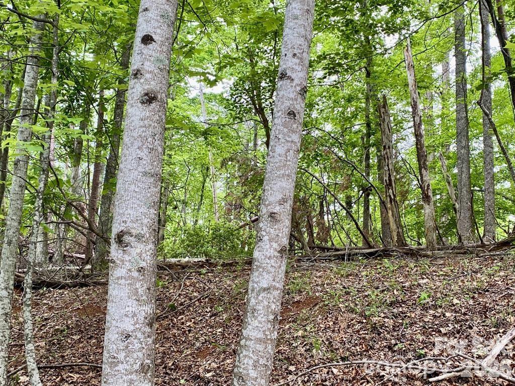 Lot 30 Granny Smith Lane