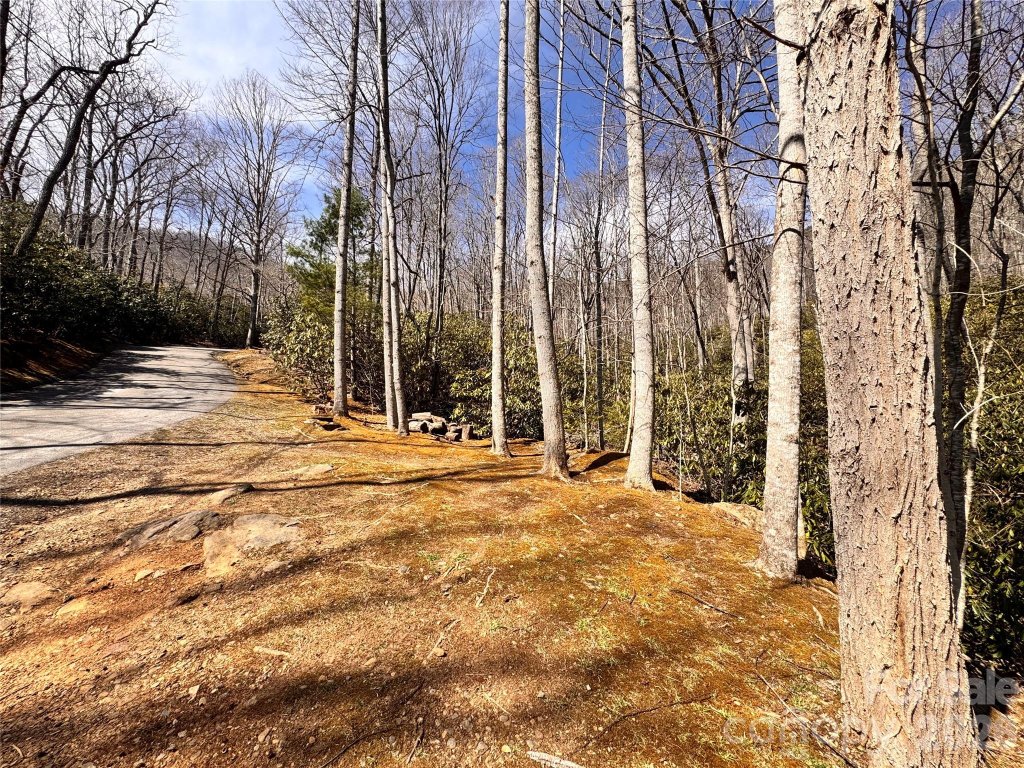 Montreat, Montreat community