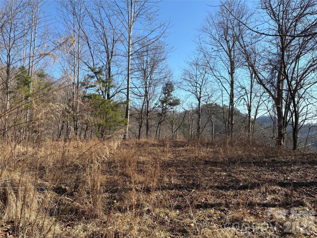 00 Brush Creek Road 41