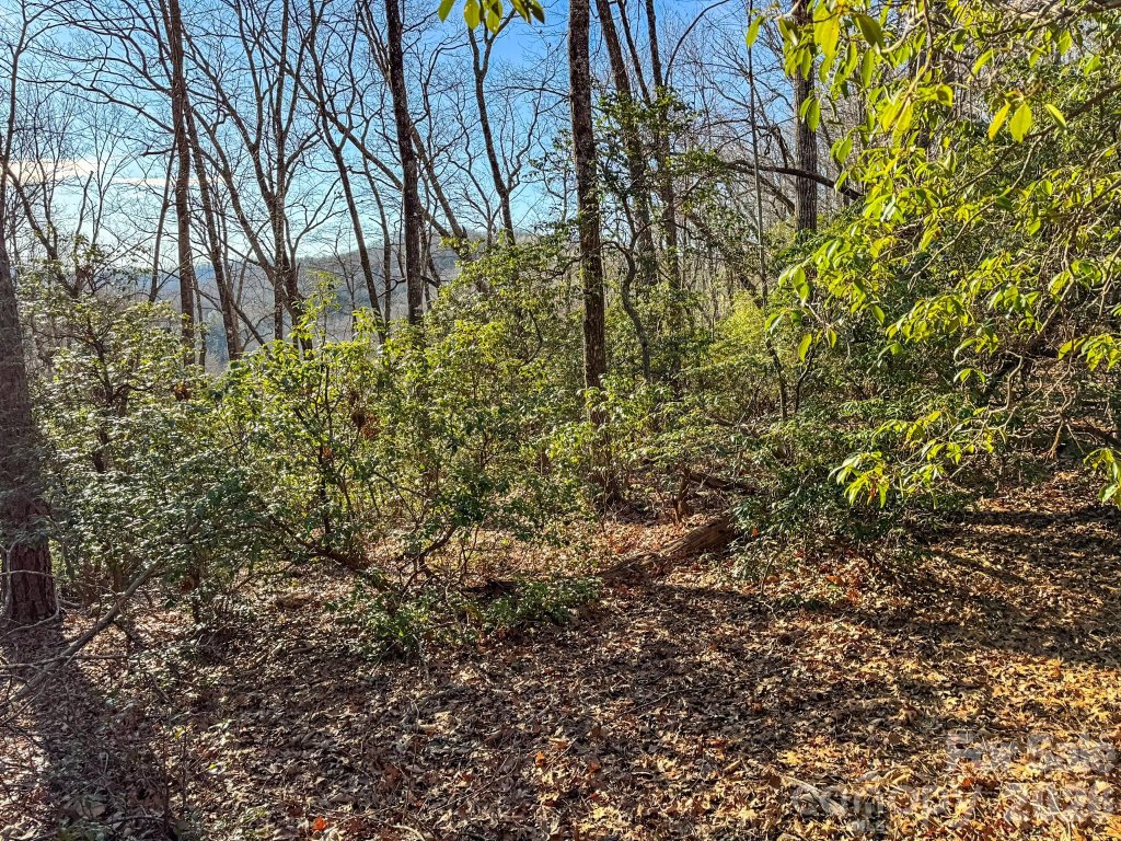 1647 Mills River Way