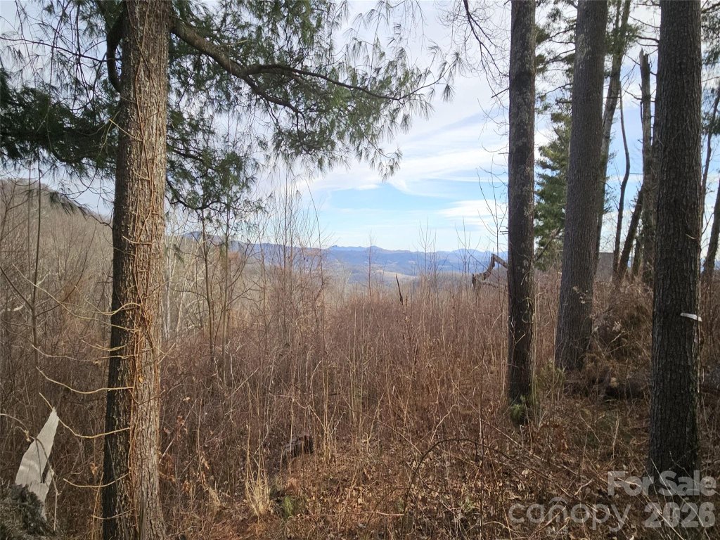 178 Dancing Bear Drive