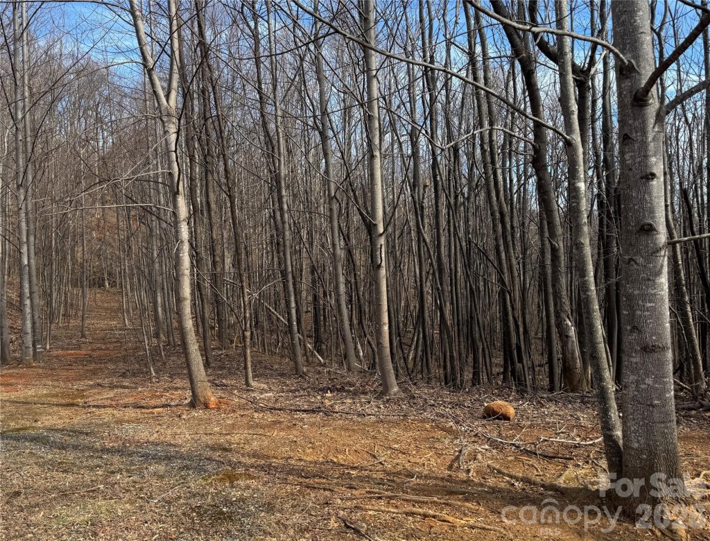 99999 Chesterfield Drive 179