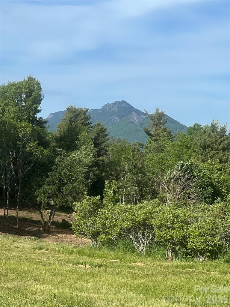 Linville Heights, Linville community