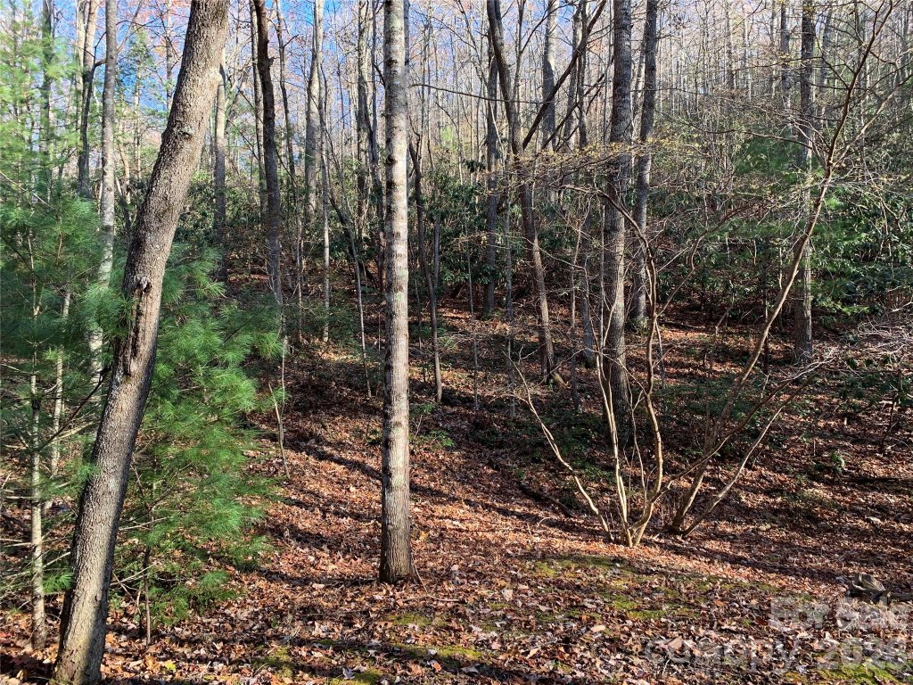 Tbd Lot 1 Dugger Firetower Road