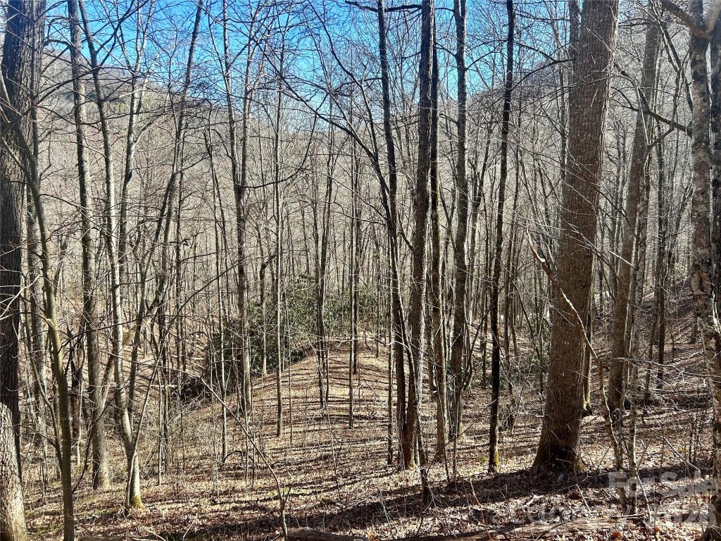 Coppermine Ridge, Whittier community