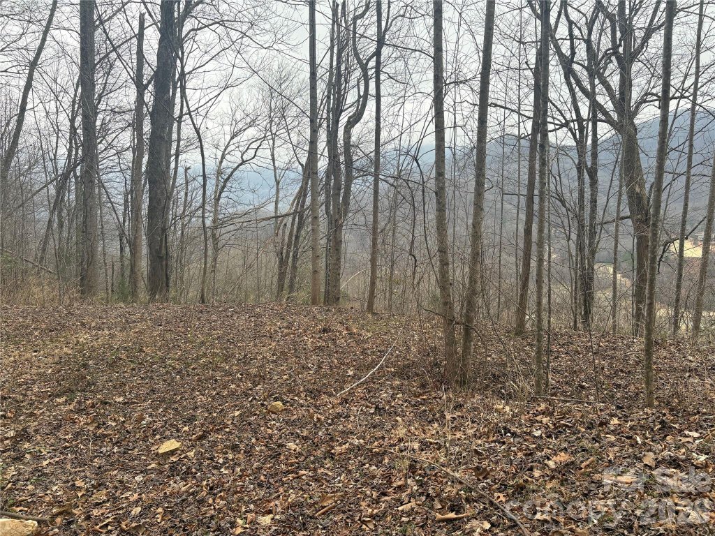 00 Country Club Drive