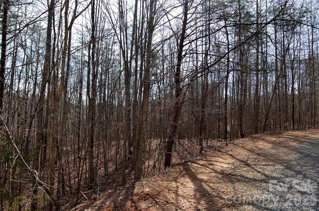 00 Sundance Drive 3-IV